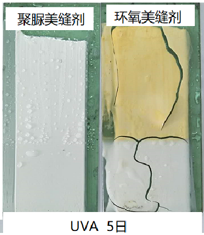 天冬聚脲光照对比