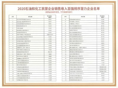 飞扬骏研-销售收入百强排序潜力企业名单