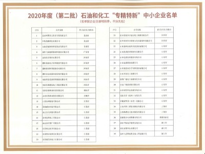 飞扬骏研-2020石油化工专精特新中小企业名单